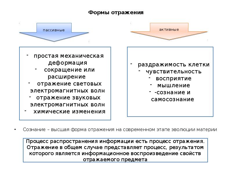 Формы отражения. Назовите формы отражения.. Формы отражения в философии. Типы и формы отражения таблица. Основные формы отражения в философии.