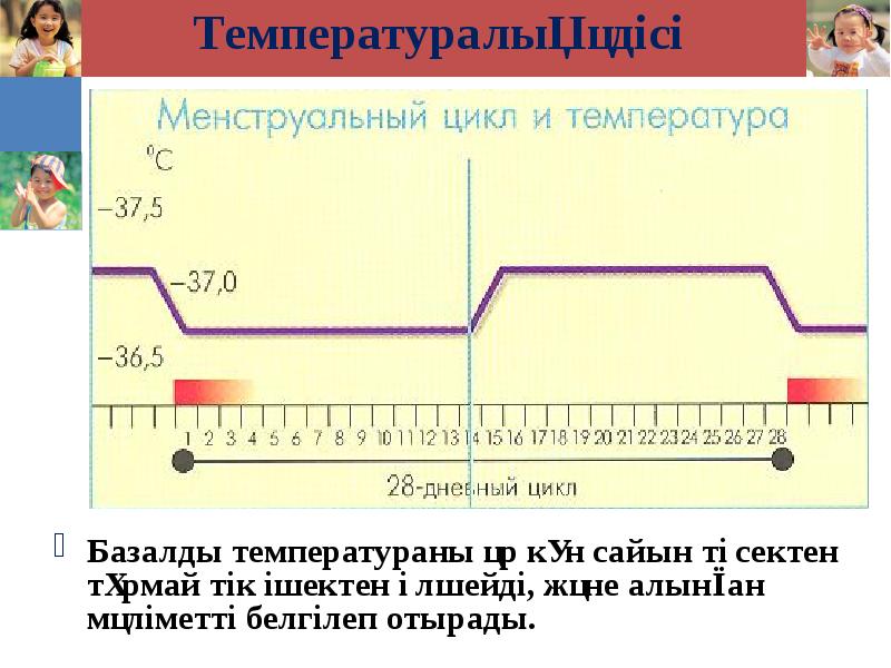 Температуралық әдісі Базалды температураны әр күн сайын төсектен тұрмай тік ішектен