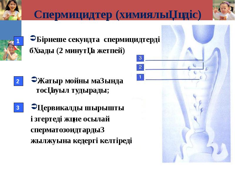 Спермицидтер (химиялық әдіс)