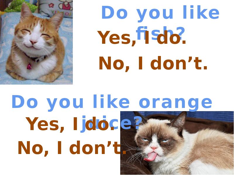 Would you like orange