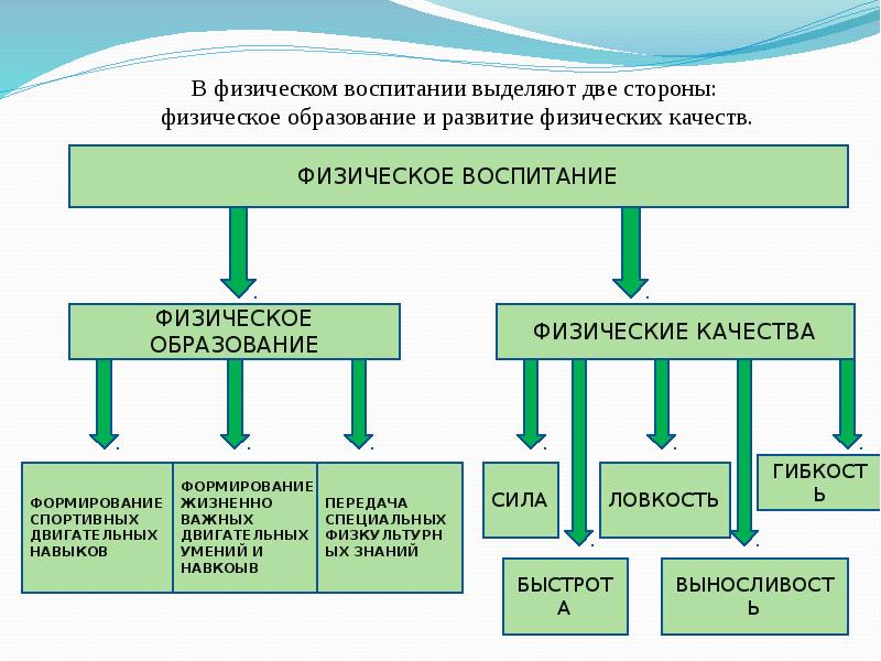 Виды физического обучения. Система физического воспитания. Физическое воспитание таблица. Возникновение физического воспитания. Физическое образование это.