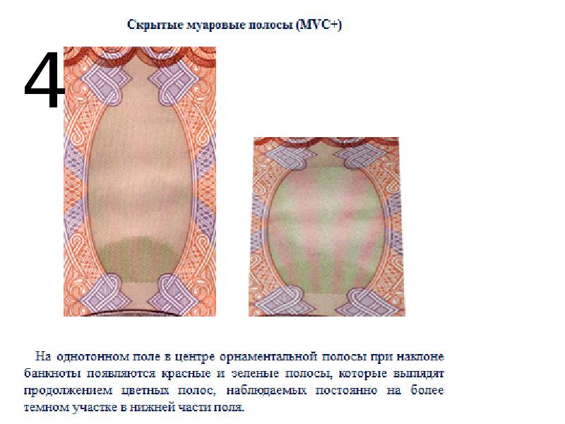 Муаровый рисунок на купюре