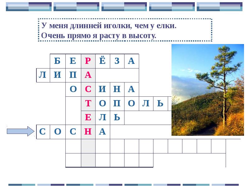 Хватает волге широты и сини но с камою она еще сильней