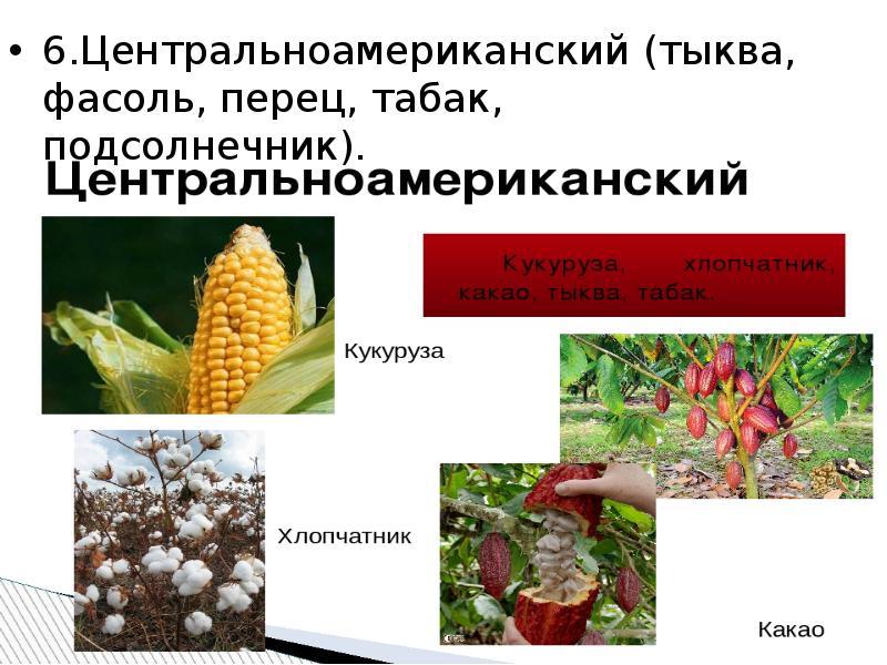 Разнообразие и происхождение культурных растений 6 класс презентация