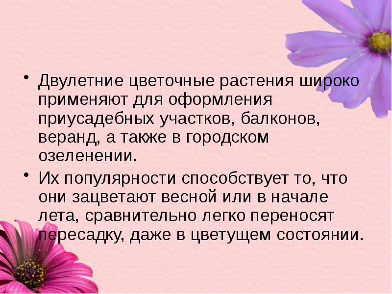 Маргаритка текст. Маргаритка двулетняя. Двулетние цветковые растения. Маргаритка цветок сообщение. Рассказ о цветке Маргаритке.