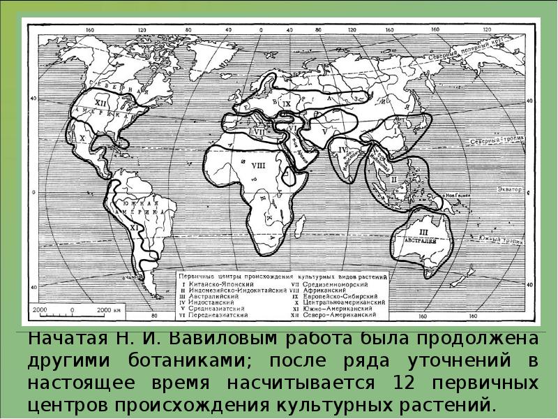 Происхождение культурных растений презентация