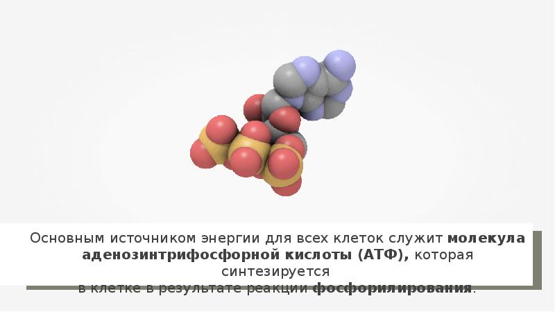 Совокупность синтеза. Основным источником энергии в клетке. Основным источником энергии для клеток служит. Основным первичным источником энергии в клетке является. Основные источники энергии в клетке.