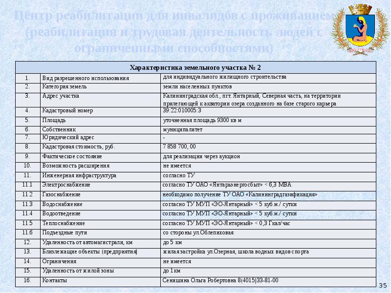 Паспорт инвестиционного проекта пример заполнения