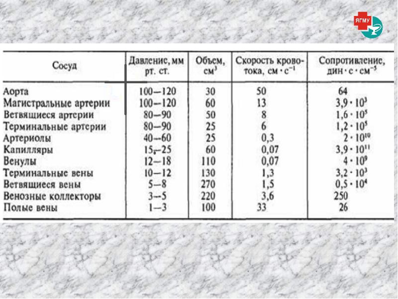 Реология крови презентация