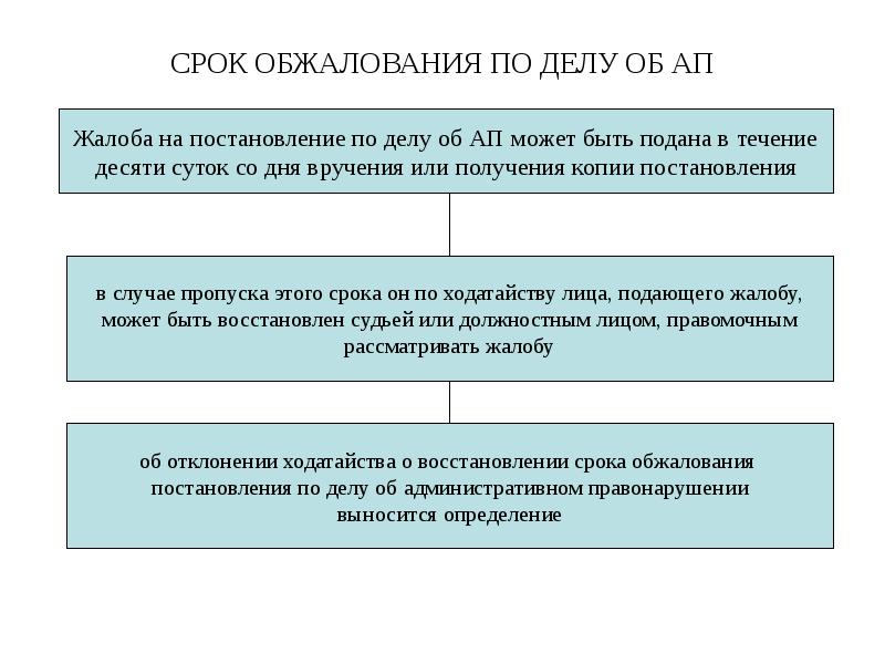 СРОК ОБЖАЛОВАНИЯ ПО ДЕЛУ ОБ АП