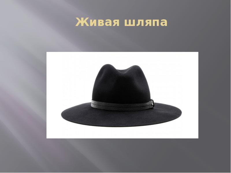 Two hat. Шляпа Носова. Шляпа Живая шляпа. Шляпа из Живая шляпа. Ожившая шляпа.