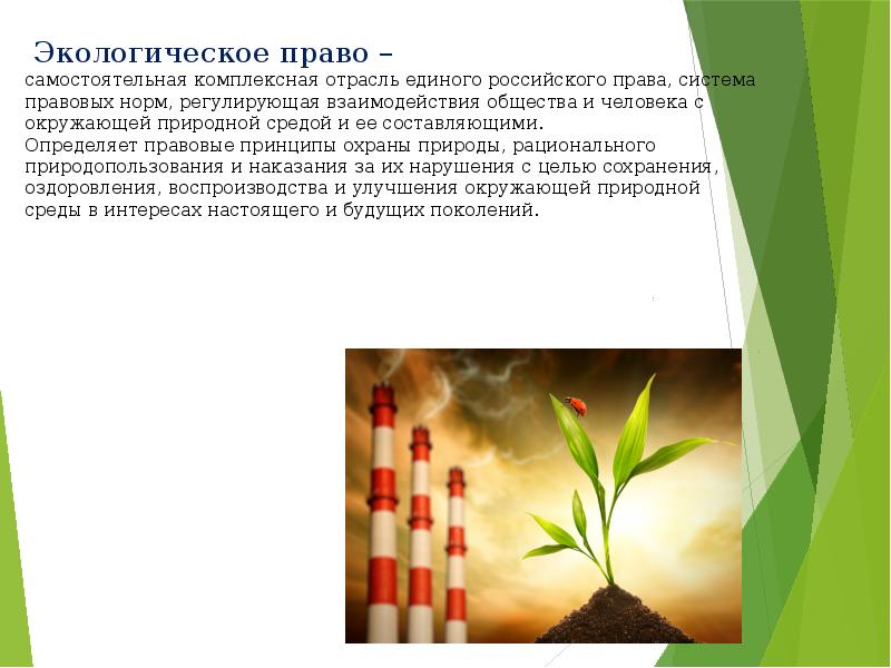 Правовые вопросы окружающей среды. Проект экологическое право. Отраслевые и комплексные экологические отношения.