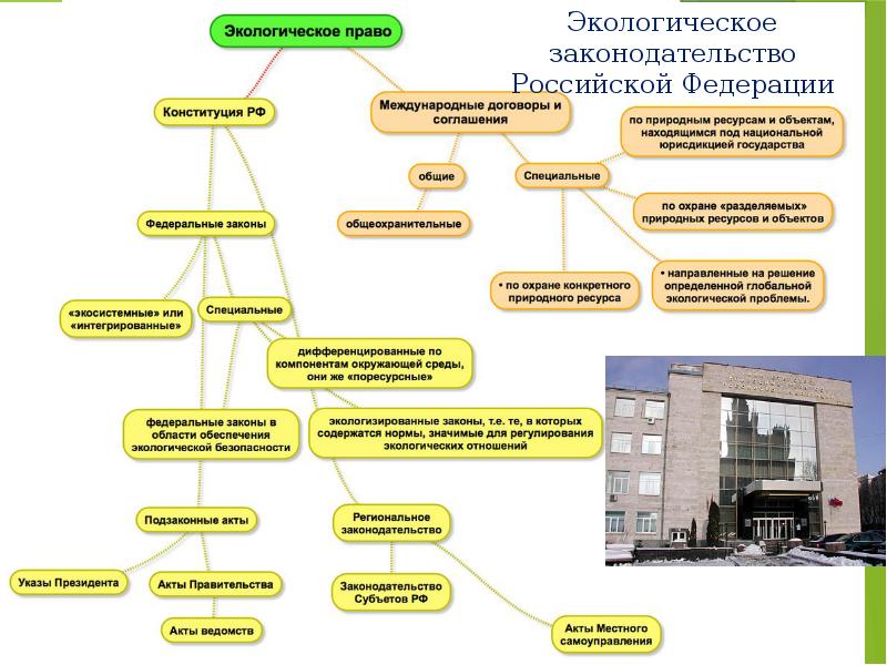 История российского природоохранного законодательства презентация