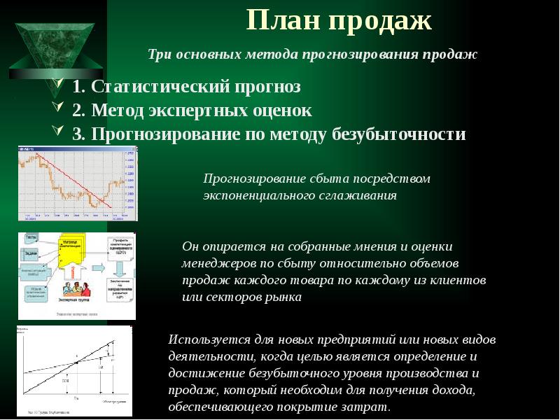 Предварительная экспертная оценка бизнес плана