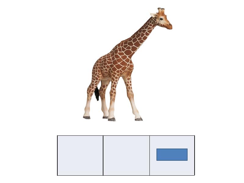 Твердые звуки в слове жирафов. Жираф 1 класс. Схема слова Жираф 1 класс. Цифра 1 Жираф. Звуковые карточки со словом Жираф.