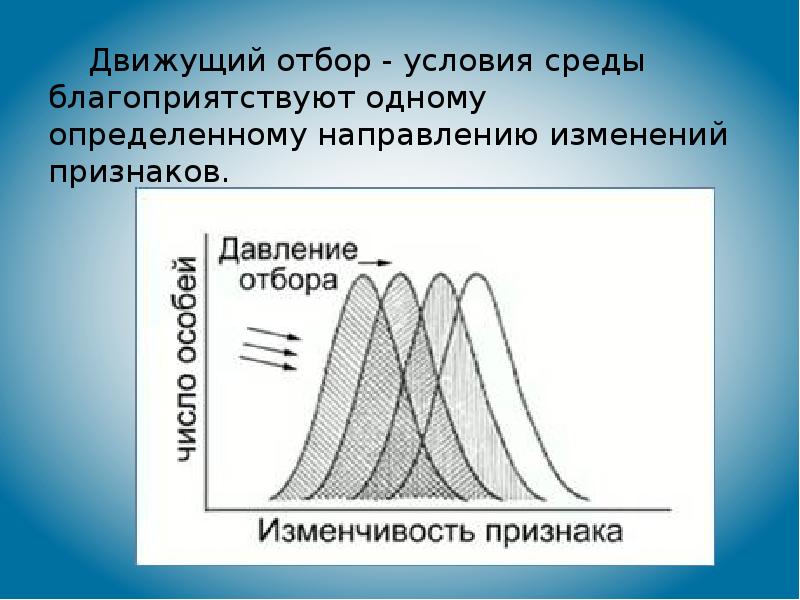 Формы естественного отбора презентация