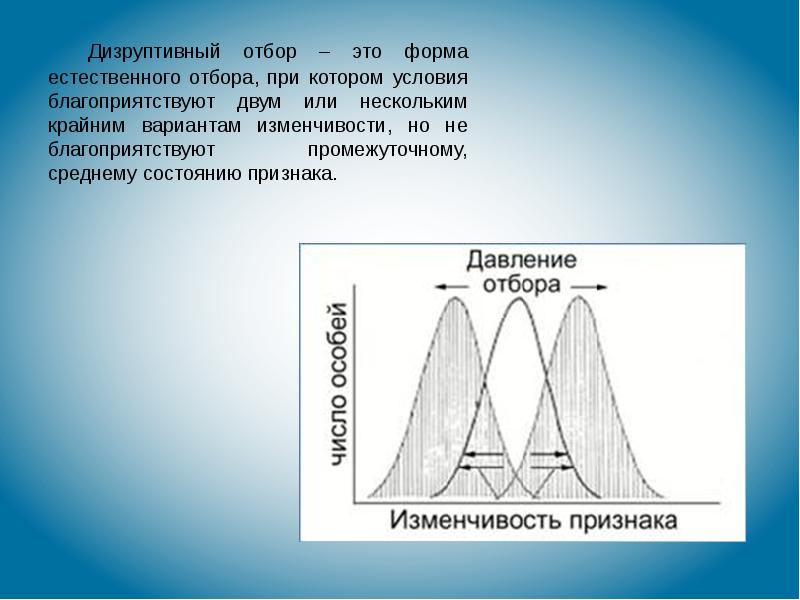 Какая форма отбора представлена на рисунке по каким признакам производился