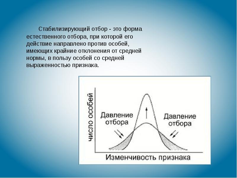 Диаграмма естественного отбора