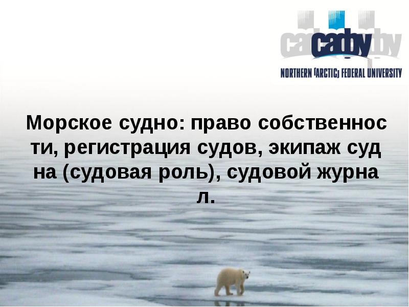 Морское судно: право собственности, регистрация судов, экипаж судна (судовая роль), судовой