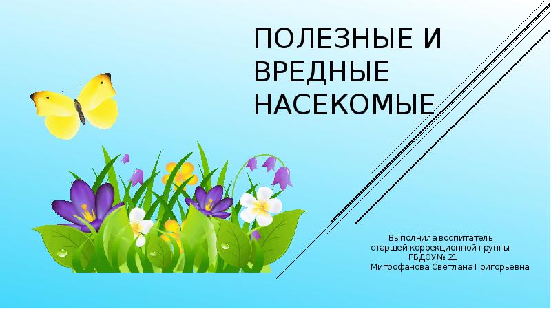 Полезные и вредные насекомые