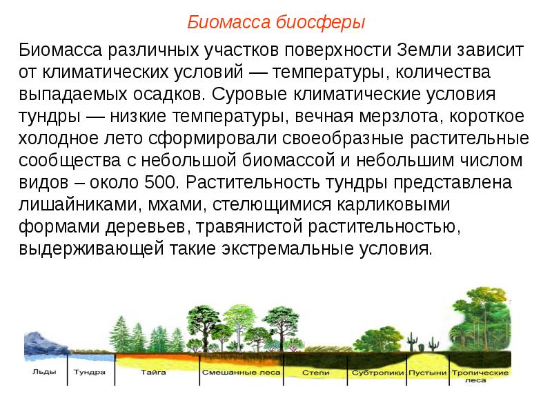 Биосфера и биомы презентация