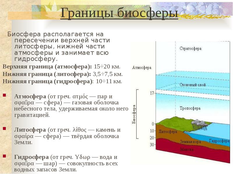 Биосфера находится. Атмосфера гидросфера литосфера Биосфера. Биосфера гидросфера атмосфера литосфера схема. Атмосфера гидросфера литосфера Биосфера таблица. Нижняя граница литосферы.