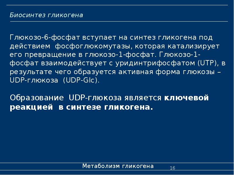 Биосинтез гликогена