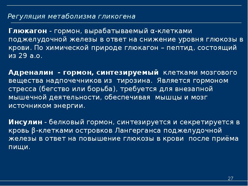 Регуляция метаболизма гликогена