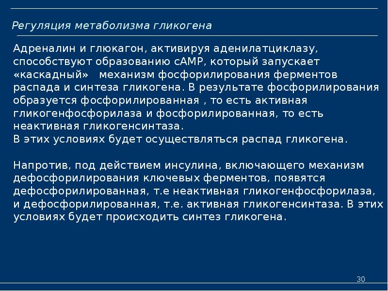 Регуляция метаболизма гликогена