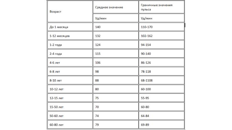 Виды физических нагрузок и их интенсивность проект