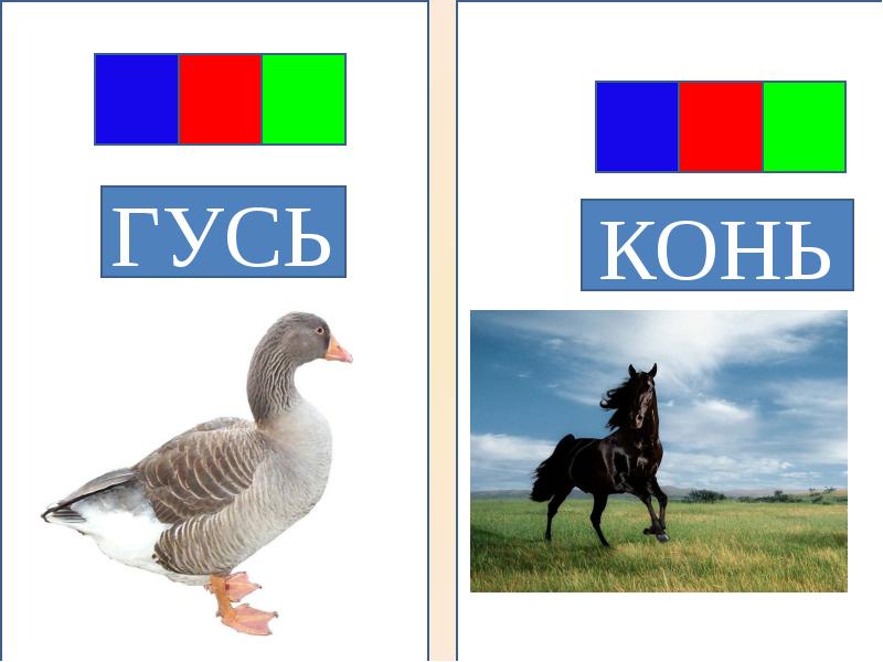 Звуковая схема слова гусь Shtampik.com