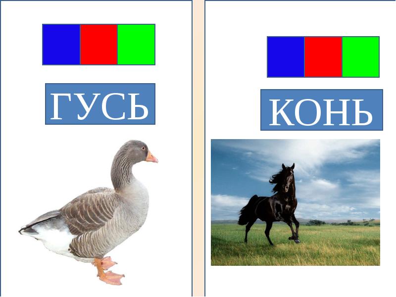 Коне словах буквы