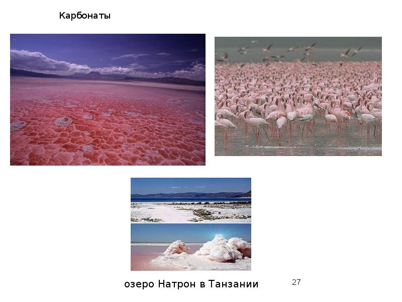 Карбонаты Карбонаты