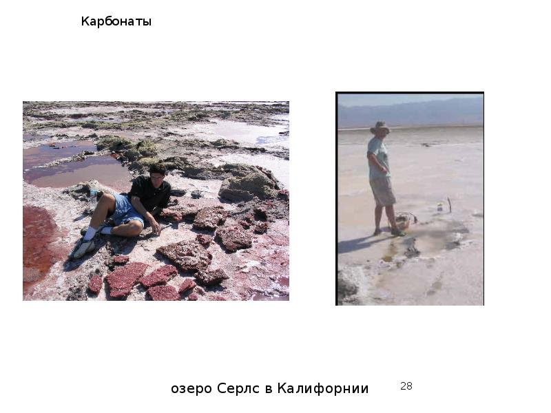 Карбонаты Карбонаты