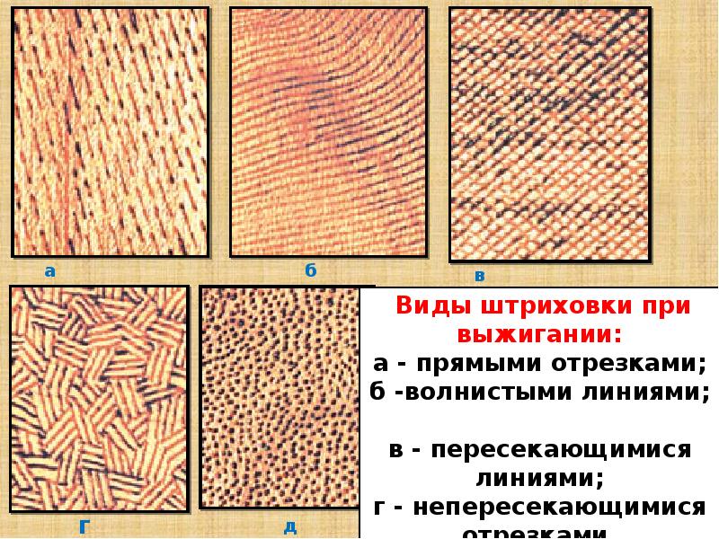 Экологическая оценка проекта выжигание по дереву