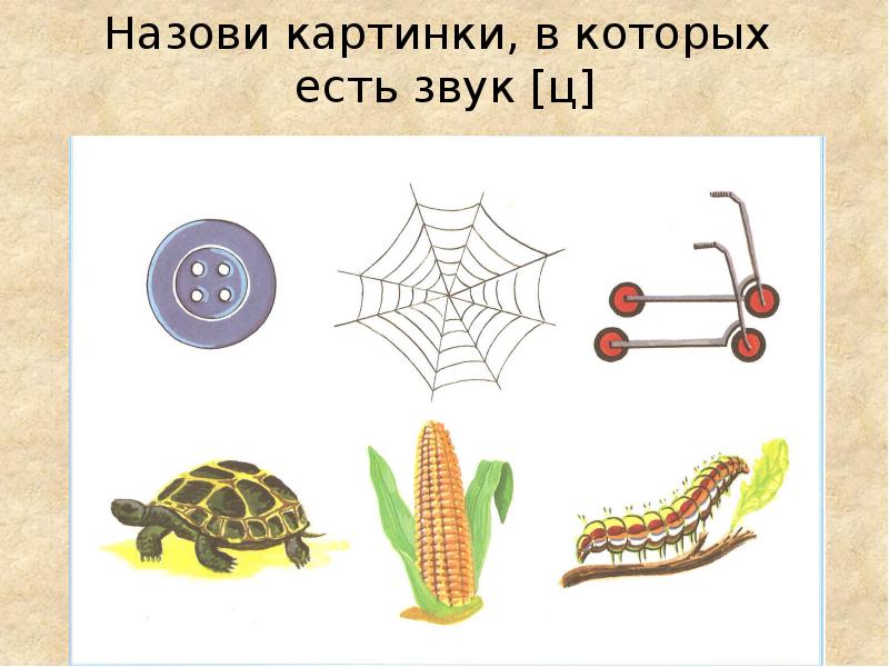 Картинки для обследования звука с