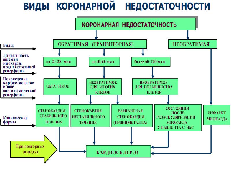 Печеночная недостаточность патофизиология презентация