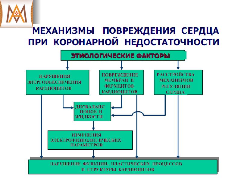 Полиорганная недостаточность патофизиология презентация