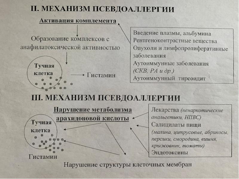 Иммунопатологические процессы презентация