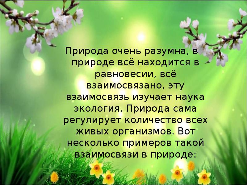 Добро минусовки. Вода с гор потекла весну принесла. Весенние явления природы. Поговорка вода с гор потекла весну принесла. В природе все взаимосвязано доклад.