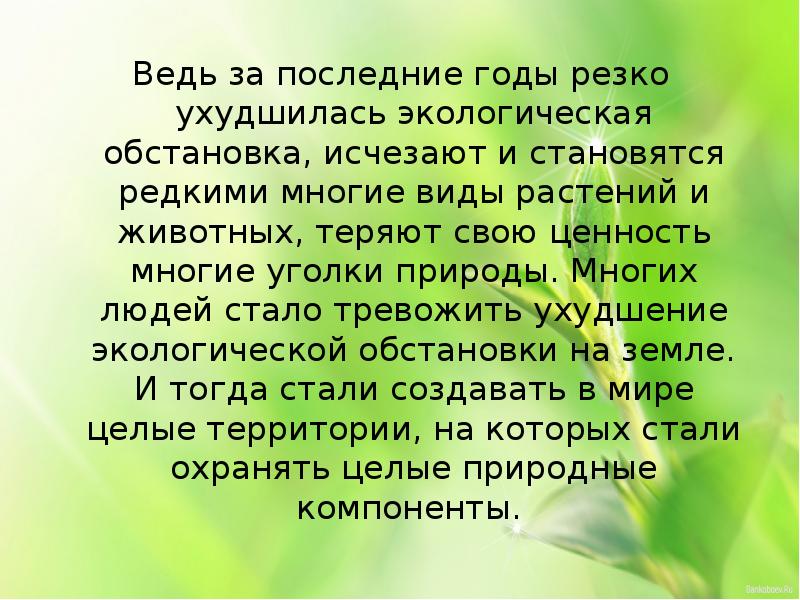 Почему многие растения и животные стали редкими. Почему многие растения и животные стали редкими
