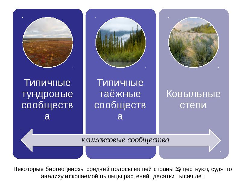 Экосистема устойчивость и динамика 11 класс презентация