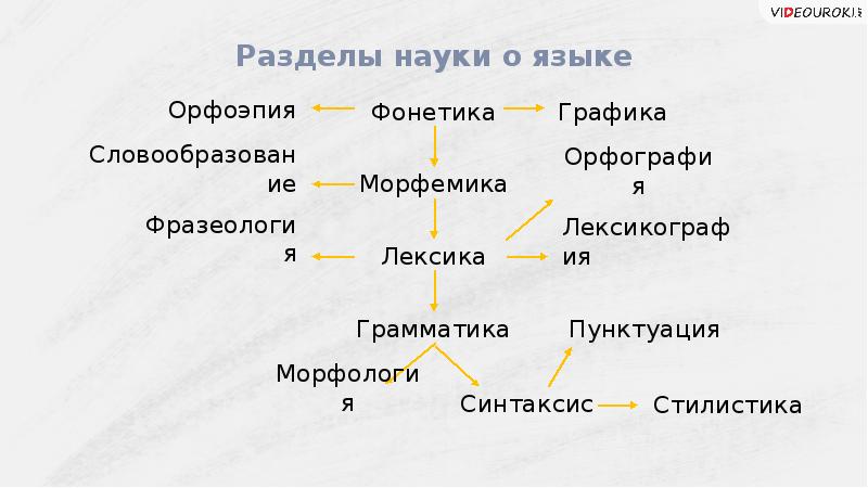 Разделы лингвистики единицы языка. Фонетика синтаксис лексика морфология. Основные разделы науки о языке. Фонетика Морфемика морфология синтаксис. Назовите основные разделы науки о языке..