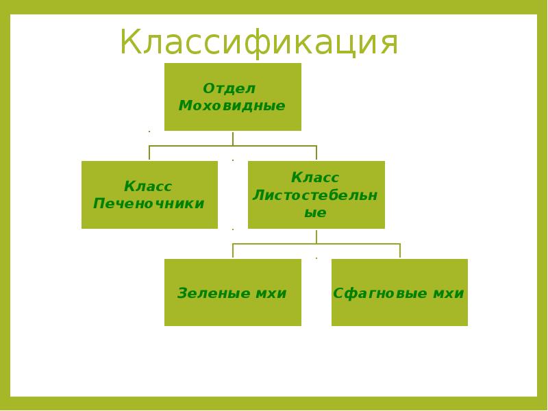 Классификация цветов. Классификация пятисотый.