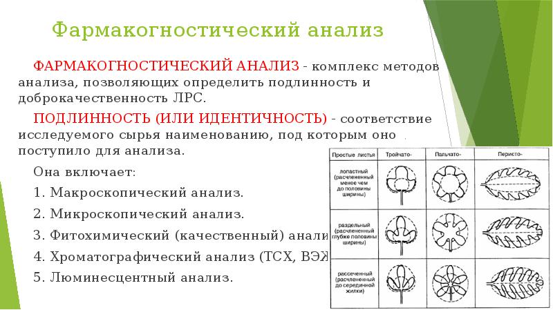 Схема приемки цельного лекарственного растительного сырья