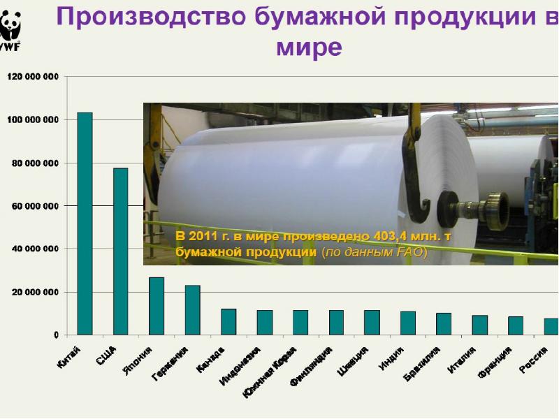 Производство целлюлозы презентация