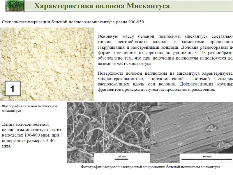 Для целлюлозы характерно. Длина волокна целлюлозы. Целлюлозное волокно. Беленая Целлюлоза. Целлюлозное волокно применение.