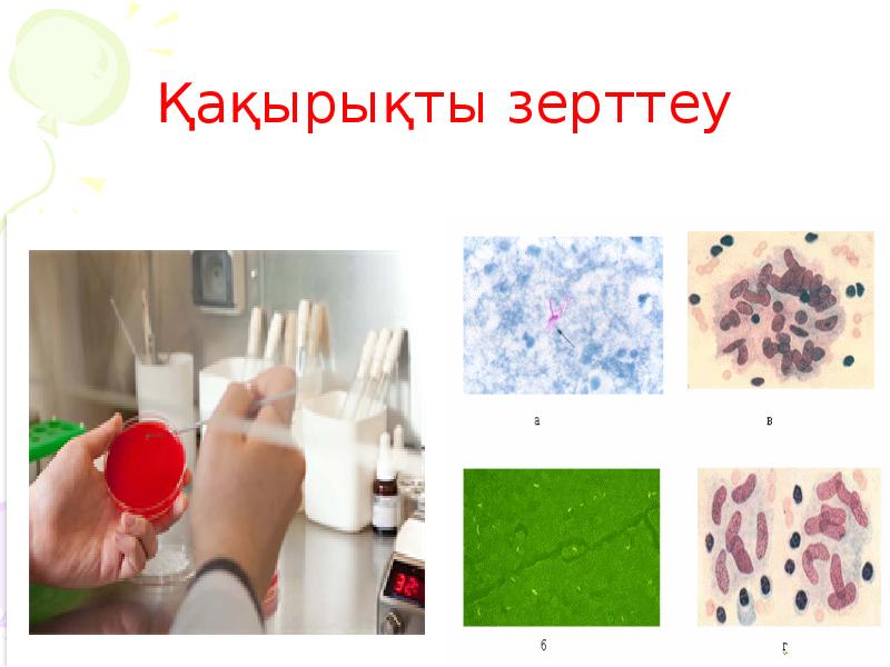 Қақырықты зерттеу