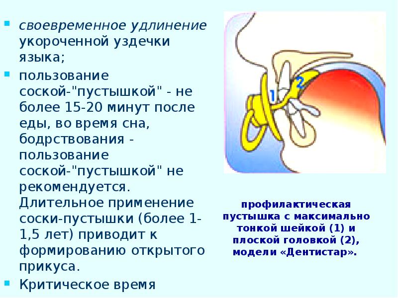 Профилактика зубочелюстных аномалий презентация