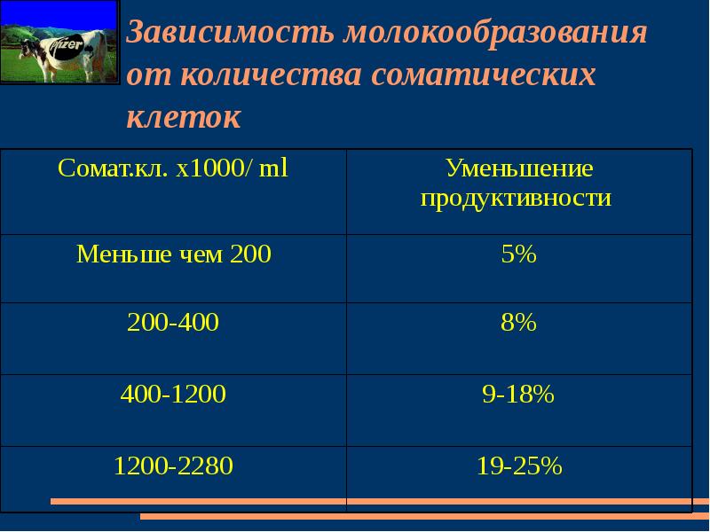 Первое деление мейоза набор хромосом. Увеличение числа соматических клеток. Биологическое значение процесса митоза. Количество соматических клеток. Увеличение числа соматических клеток.